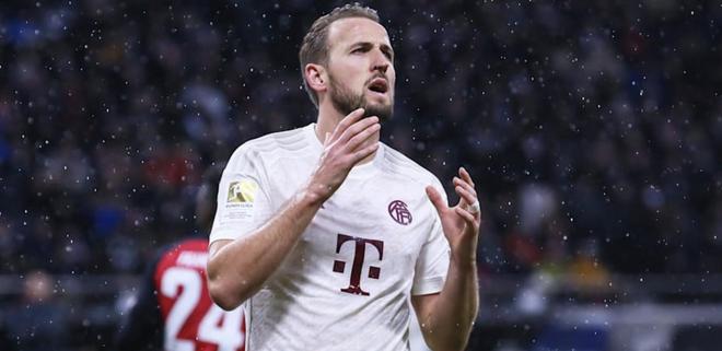 质与比赛韧 质与比赛韧