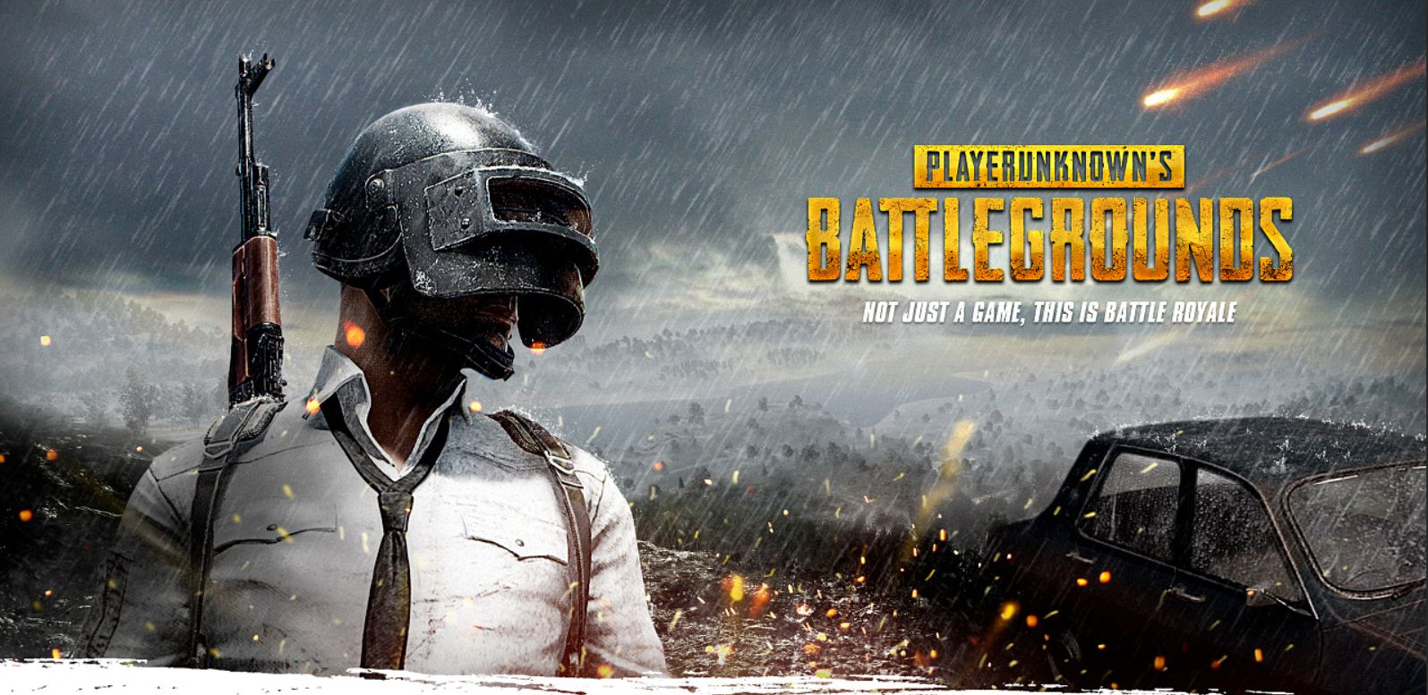 不仅意味着 不仅意味着