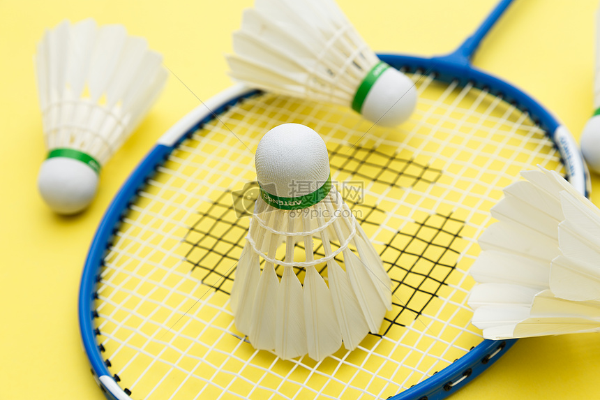 中国女足不 中国女足不